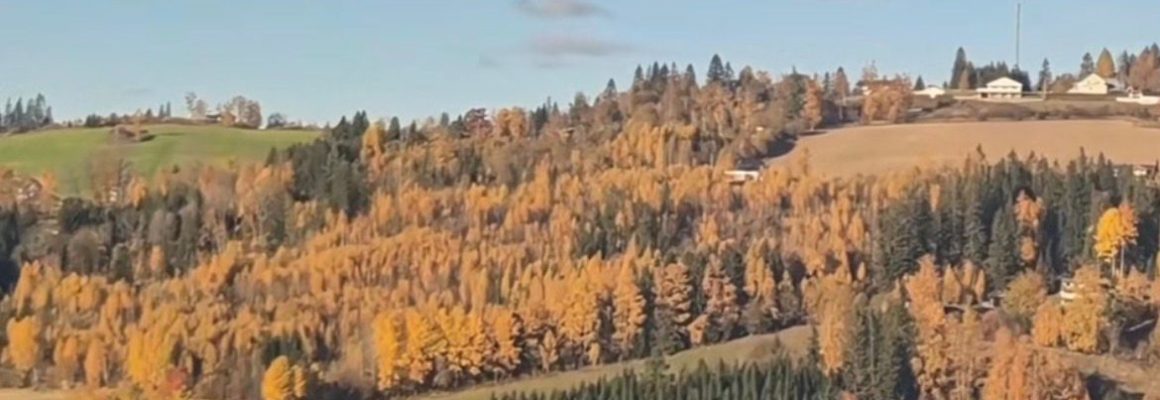 WhatsApp Image 2025-12-02 at 11.41.30 (2)